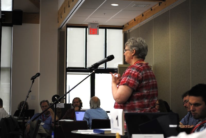 Cynthia Haines-Turner (diocese of Western Newfoundland) asks about the agenda for the 2013 Joint Anglican-Lutheran Assembly. Photo: Marites N. Sison
