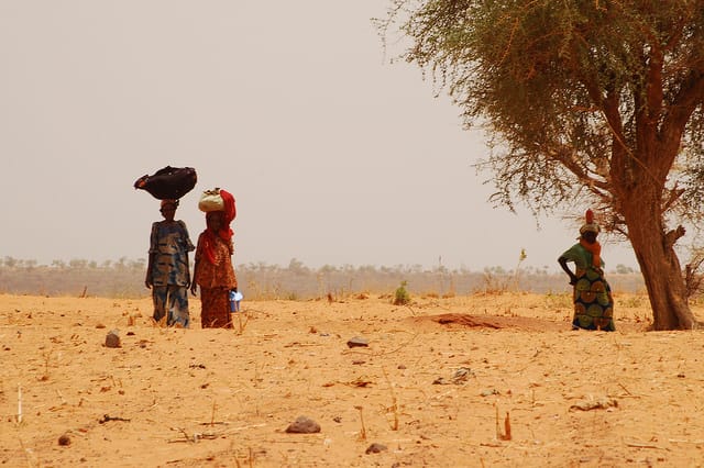 The situation in the Sahel has “deteriorated dramatically” due to drought, rising food prices and population displacement, according to CIDA. Photo: Canadian Foodgrains Bank