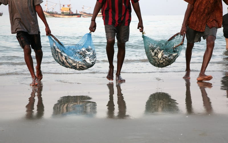 Villagers in India fear that a proposed nuclear power plant could destroy their traditional fishing grounds. Photo: Anna Jurkovska