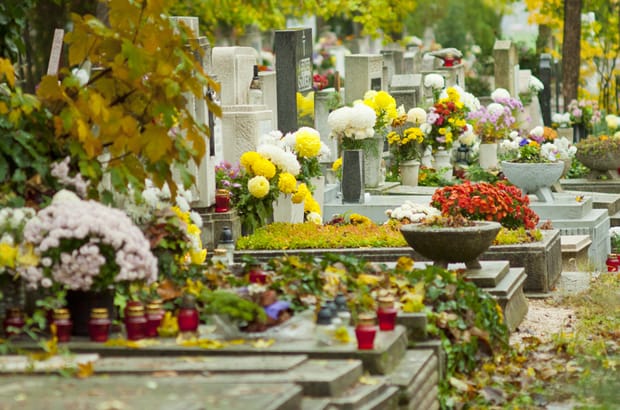 Flowers in a cemetery on All Souls’ Day. Photo: Clear Images/Shutterstock