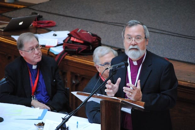 Archbishop John Privett, a member of the Commission on the Marriage Canon, presents a section of the report to Council of General Synod. Photo: André Forget
