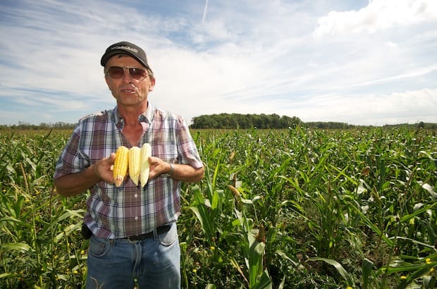 Larry Dyck, lead farmer for Grow Hope Niagara, explains how drought has affected this year’s corn crop. Photo: Simon Chambers