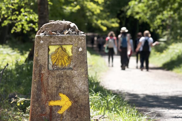 Sign marks the way to Compostela Cathedral in Galicia, Spain. Photo: Gena Melendrez/Shutterstock