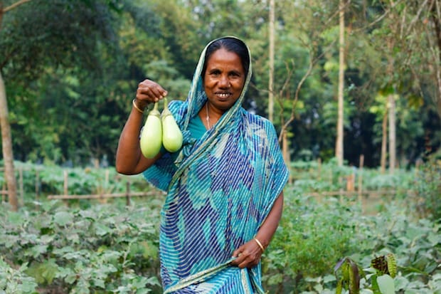 Mariam Begum holds eggplants from her garden. Photo: Paul Plett