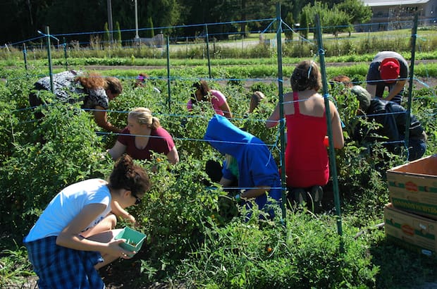 The Sorrento Centre Farm, an education program and working fruit and vegetable farm in B.C., has received grants from the Anglican Foundation of Canada. Photo: George Zorn