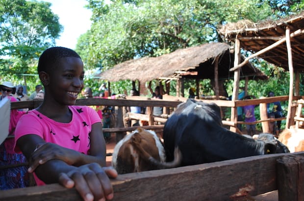 When Harima Mkitage’s family received a cow four years ago, her parents used some of the money the cow brought in to pay her school fees. Now, she wants to become a livestock specialist. Photo: André Forget